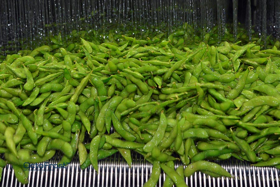 if chiller edamame rainshower