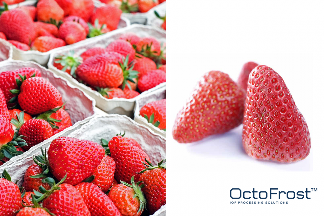 WHY PROCESSORS SHOULD FOCUS ON IQF FROZEN STRAWBERRIES