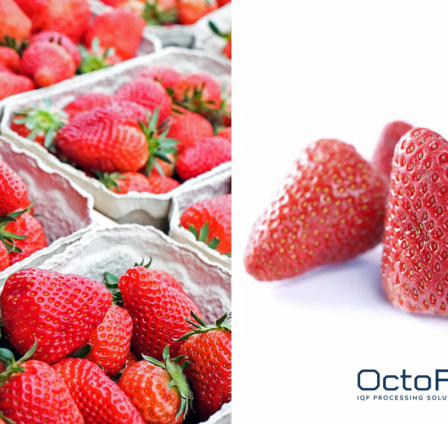 WHY PROCESSORS SHOULD FOCUS ON IQF FROZEN STRAWBERRIES