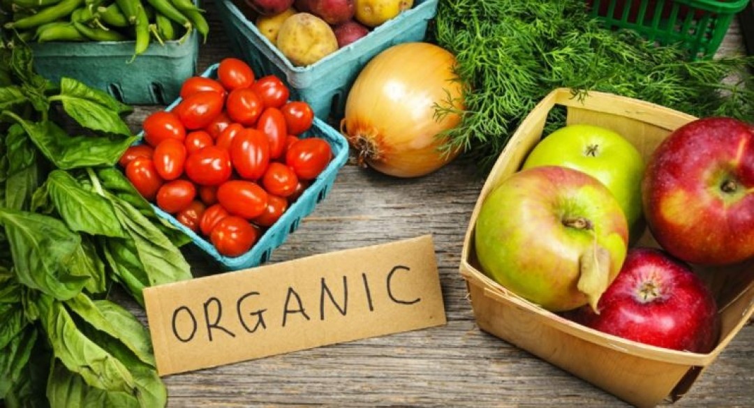 THE GLOBAL ORGANIC SECTOR IS EXPECTED TO GROW OVER THE NEXT DECADE