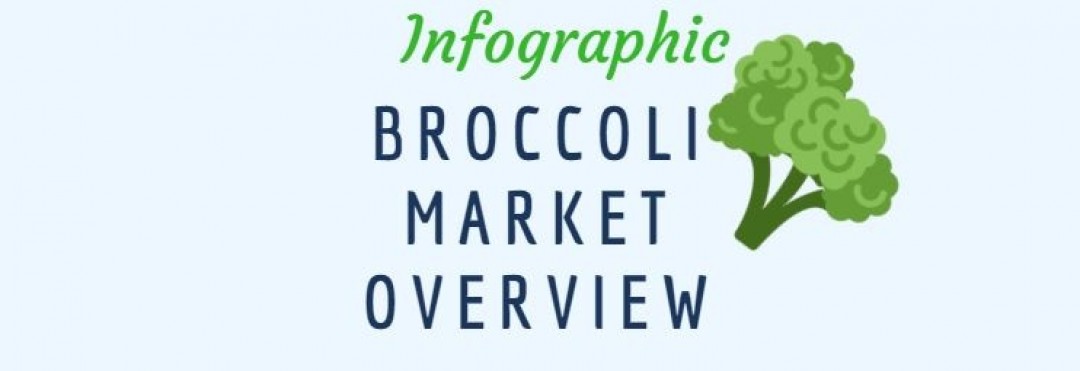 INFOGRAPHIC BROCCOLI MARKET OVERVIEW