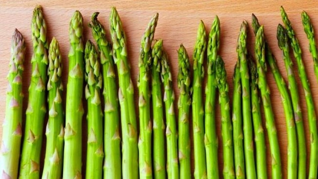 BEST PRACTICES FOR FREEZING ASPARAGUS