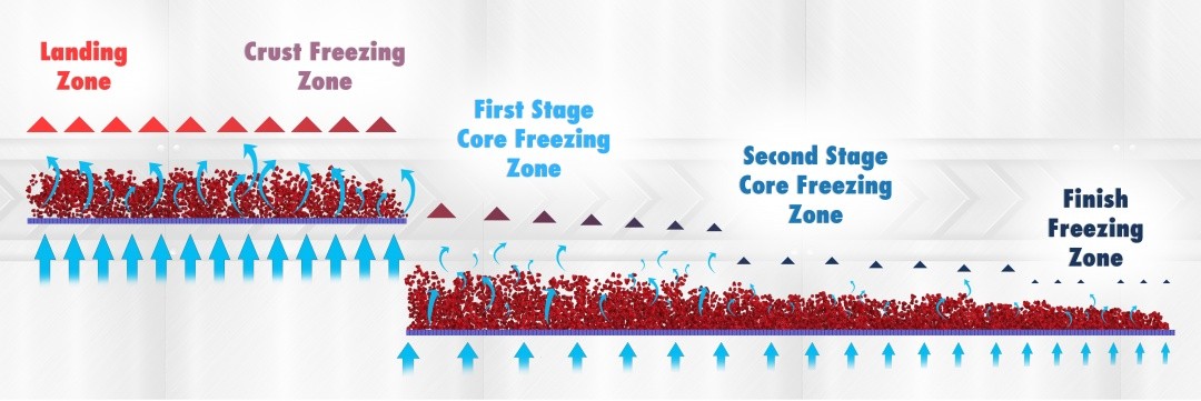 ALL YOU NEED TO KNOW ABOUT FLUIDIZATION IN IQF FREEZING TECHNOLOGY