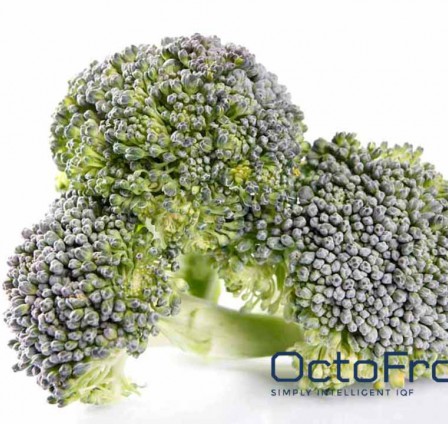 OVERVIEW OF THE WORLD'S FRESH AND IQF BROCCOLI MARKETS