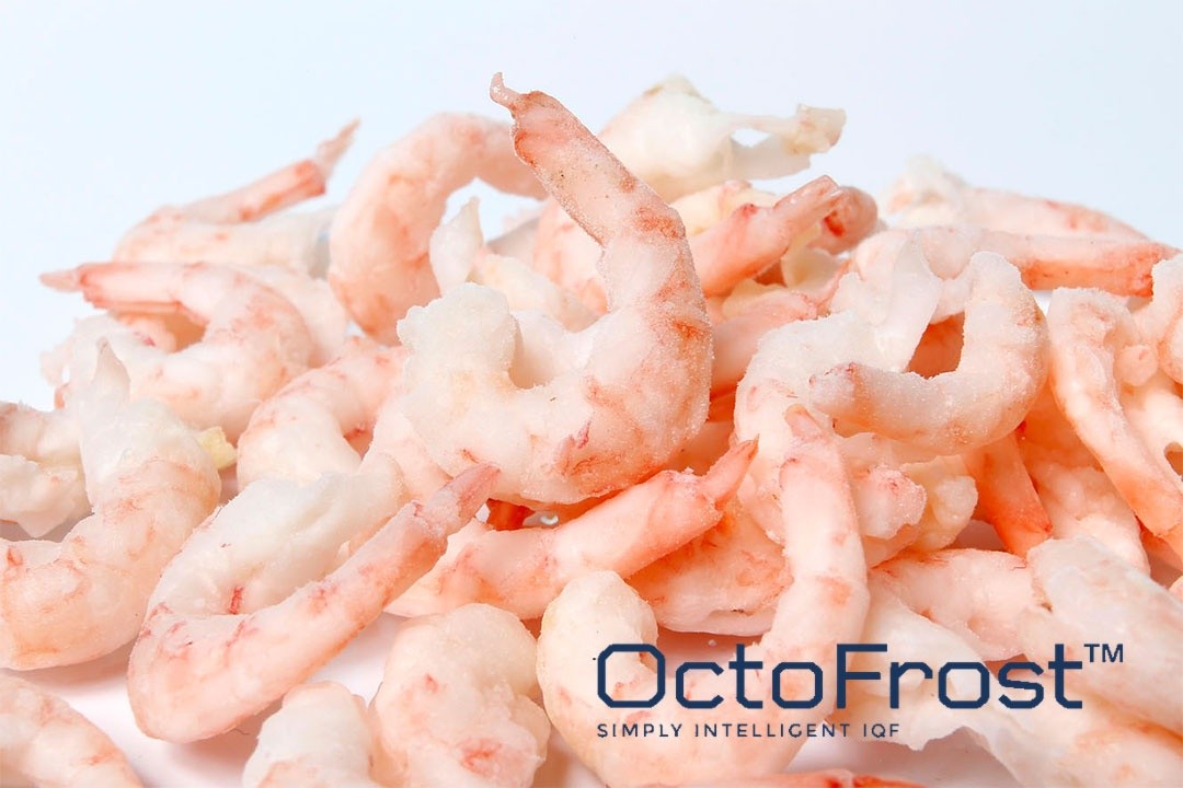 OVERVIEW OF THE GLOBAL SHRIMP MARKET