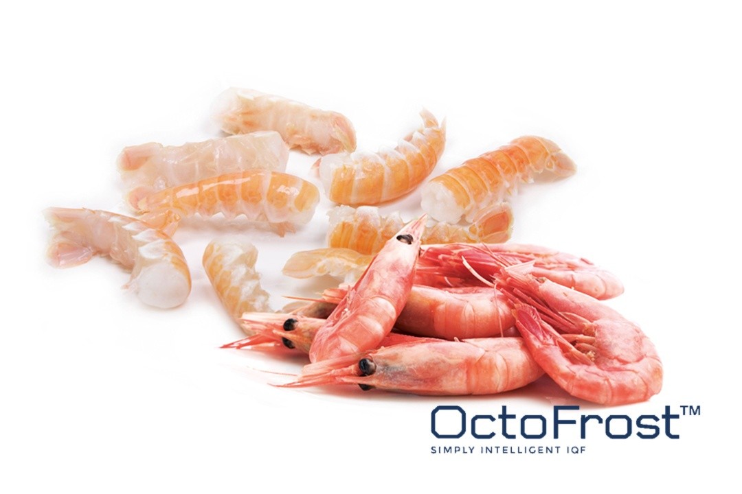 NEW TRENDS IN THE INDUSTRY: IQF MACHINES FOR SEAFOOD