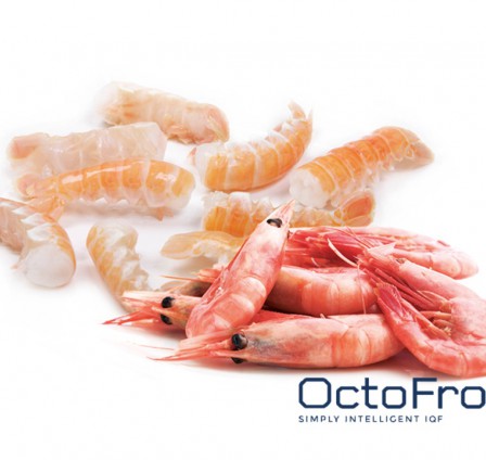 NEW TRENDS IN THE INDUSTRY: IQF MACHINES FOR SEAFOOD