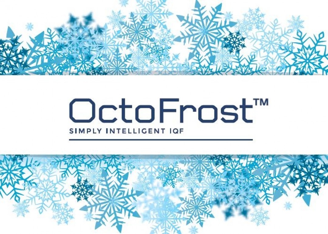 A GLIMPSE INTO 2016: OCTOFROST JOURNEY