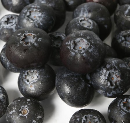 FREEZING IQF BLUEBERRIES WITH THE OCTOFROST™ TUNNEL FREEZER