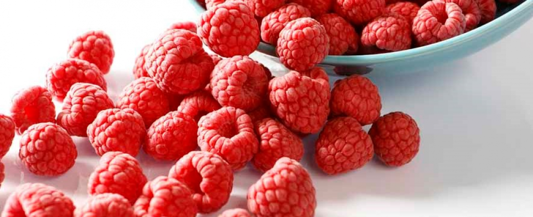 Static vs Fluidized Freezing: What is the Premium Method for Freezing IQF Raspberries?