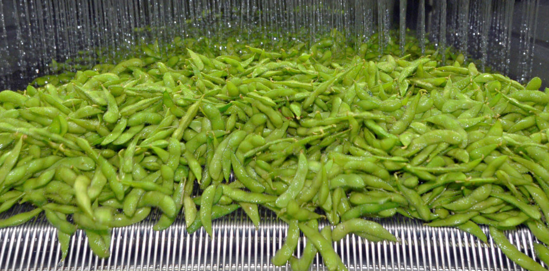 Discover the Power of IQF Technology in Edamame Processing