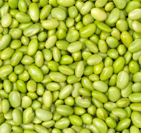 The Power of IQF Technology: A case of Edamame Processing