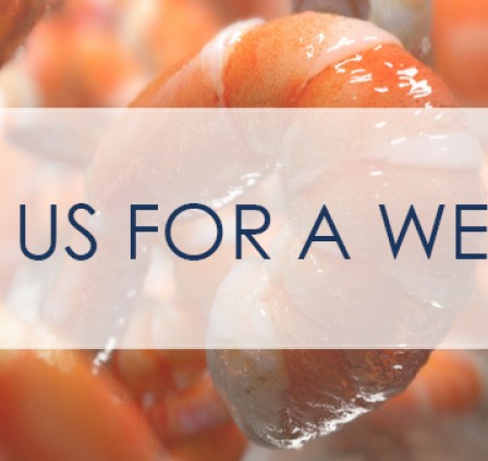 Join Free Webinar: Process Premium IQF Shrimp at a Tenth of the Cost.